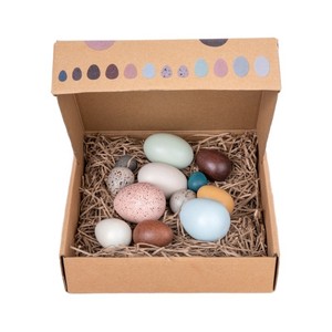 Juego <span class=keywords><strong>de</strong></span> 12 <span class=keywords><strong>Huevos</strong></span> <span class=keywords><strong>de</strong></span> Pájaro <span class=keywords><strong>de</strong></span> Madera <span class=keywords><strong>de</strong></span> Simulación Coloridos, Juguetes Educativos Tempranos Montessori <span class=keywords><strong>para</strong></span> Juego <span class=keywords><strong>de</strong></span> Imitación, Cognición y Desarrollo - Product Image 2