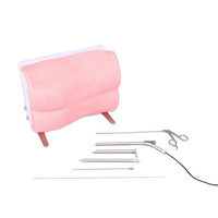 Simulateur d'entraînement à l'endoscopie biportale unilatérale (UBE) pour la chirurgie de la colonne vertébrale, instruments d'entraînement, anatomie de la colonne vertébrale lombaire