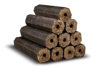 Machine à briquettes de charbon de coco Machine à briquettes de charbon de bois Machine à briquettes de sciure de bois Machine de fabrication de bûches