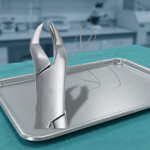 Forceps d'extraction dentaire en acier inoxydable, forceps manuels pour dents, griffes chirurgicales pour usage clinique - Product Image 3
