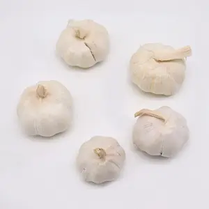 Lowest Price Pre-sell 2024 Chinese Normal White Garlic New Crop Garlic Organic Garlic