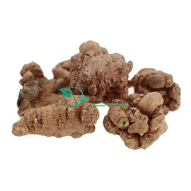 Raw secchi Sanchi / Panax Notoginseng root / Radix Notoginseng estratto