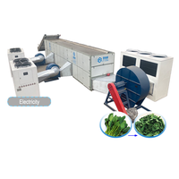 Déshydrateur de feuilles d'épinards de haute qualité, machine à sécher le thé, les épices, les herbes, le gingembre et l'ail
