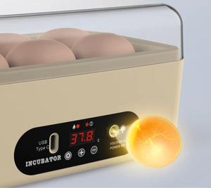 Incubadoras de Huevos USB Automáticas y Eficientes de 6 Piezas, Nueva Unidad de Plástico para Pollos, Patos, Palomas, Codornices, Aves y Emúes - Product Image 2