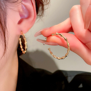 Orecchini a Cerchio in Bambù Audaci per Donne, Orecchini Metallici di Tendenza in Stile Coreano, Regalo - Product Image 1