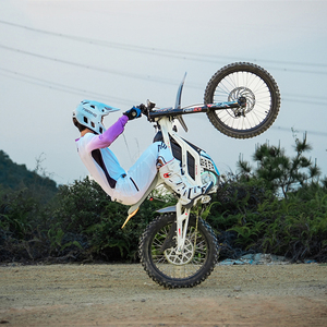 <span class=keywords><strong>Moto</strong></span> tout-terrain électrique All Black 79 Bike Falcon GT 16800W 72V40ah, vitesse 95 km/h, <span class=keywords><strong>moto</strong></span> de <span class=keywords><strong>cross</strong></span> électrique - Product Image 3