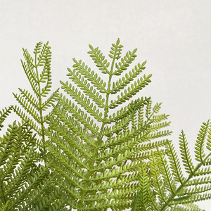 7 forks fishtail leaves Palm Fern Bush Artificial Indoor Hanging <strong>Plant</strong> <strong>Vine</strong> for Christmas Decor Artificial <strong>Plants</strong> - Product Image 4
