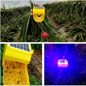Mini Solar Light Trap To Control Outdoor Pests By Attracting And Sticking Moth/Gnat Greenhouse
