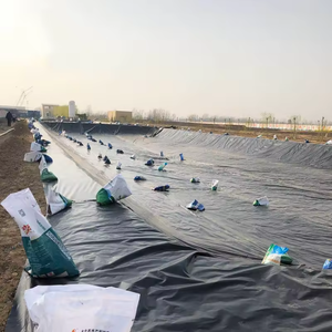 Geomembrana de HDPE de 1.0mm, 1.5mm, 2mm, Revestimiento Impermeable Anti-Infiltraciones, Revestimiento para Estanques de LLDPE y <span class=keywords><strong>PVC</strong></span>, <span class=keywords><strong>Precio</strong></span> de Fábrica por Metro Cuadrado - Product Image 5