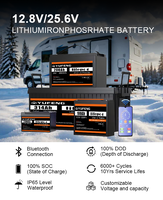 Paket Baterai LiFePO4 OEM ODM Kustom 12V 24V 48V 100Ah 200Ah 300Ah 8000 Siklus Dalam Sistem Penyimpanan Energi Surya Lithium untuk ESS