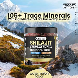 Gomitas de Shilajit OEM/ODM con Ashwagandha, Musgo Marino, Melena de León y Raíz de Bardana para Energía, Concentración y Apoyo Inmunológico - Product Image 2