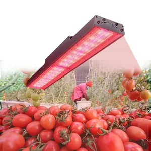 Optic 520w indoor greenhouse top led grow light 480 equivalent 1000w 1000 watt de hps grow lamp fixture