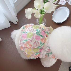 Korean style INS bubble princess dress, thin spring/summer pet <b>clothes</b> for Bichon Frise, Teddy, <b>cats</b>, and puppies. Wholesale. - Product Image 4