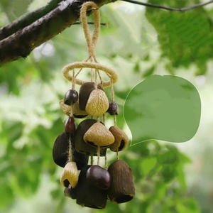 Wholesale Handwoven Hemp Rope Natural Fruit Shell <b>Wind</b> <b>Chime</b> For Healing And Meditation - Product Image 5