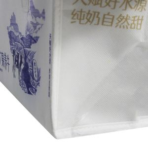 Custom Logo Promotional Reusable Thermal Insulation Bag Wholesale <b>Small</b> 6 Can Non Woven Insulated <b>Lunch</b> Cooler Bag for Food - Product Image 3