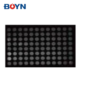 BNGDS-A 시리즈 핵산 및 단백질의 검출 및 문서화를 위한 실험실 젤 문서화 이미징 시스템 - Product Image 4