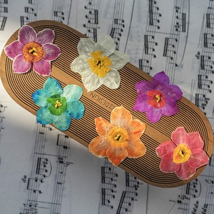12 pz/borsa cinese giglio sacro/narcisi/fiori Joss fiori pressati - Product Image 2
