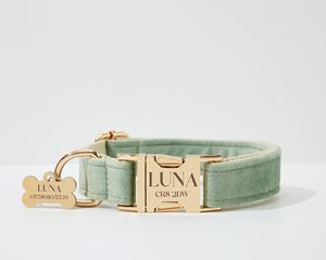 Verde Salvia personalizado con herrajes dorados, collar de perro de arnés Veet elegante y juego de correa para cachorros grandes, envío gratis - Product Image 5