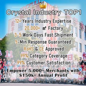 Pierre de Prédiction Naturelle Brute en Cristal, Minéral Gemme Brut pour la Guérison - Product Image 5