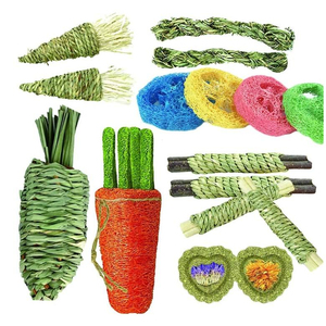 Juguetes Ecológicos de Madera de Manzana Natural para Masticar, Favorecen la Salud Dental, Accesorios para Mascotas, Conejos, Hámsteres, Regalo Festivo - Product Image 3
