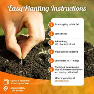 Paquete de 1 onza de Semillas de Mariposa Monarca, <span class=keywords><strong>Flores</strong></span> Silvestres, Anuales y Perennes de Autoestimulación, Sin Aditivos, Semillas de Lechosa, Macetas, Jardineras - Product Image 3