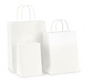 Bolsas de Protección Ambiental, Bolsa de Papel Kraft Natural con Asas Retorcidas - Product Image 1