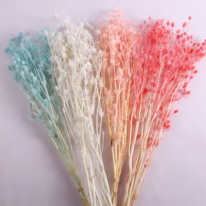 <span class=keywords><strong>Flor</strong></span> Seca Decorativa al por Mayor, <span class=keywords><strong>Flor</strong></span> de Ajenjo Marino Ensilada para Arreglos Florales y Decoraciones de Boda - Product Image 1