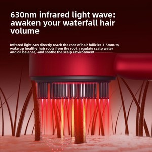 Masseur électrique du cuir chevelu, peigne de <span class=keywords><strong>coiffure</strong></span>, applicateur de soin à ondes infrarouges, modèle <span class=keywords><strong>LJ</strong></span>-001, massage du cuir chevelu - Product Image 4