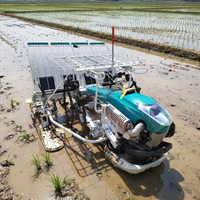 Transplanteur de riz Wubota 4 rangs et 6 rangs, prix, transplanteur de riz pour rizière, type marcheur, transplanteur à 4 et 6 rangs