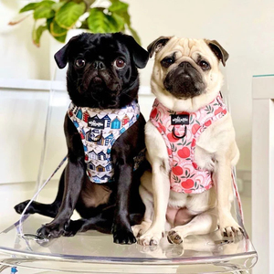 Arnés personalizado para perros de diseño 2024, chaleco de nailon sin tirones, conjunto de correa de cuello Rosa Suave, accesorios acolchados para perros - Product Image 6