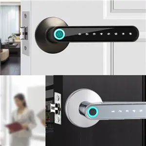 Fingerprint Lock with Handle Smart Digital Lock for Home Office Hotel Zinc Alloy Material Indoor Lever Security Lock