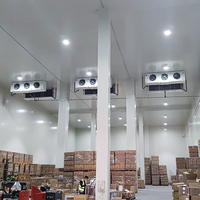 Cámara Frigorífica Ventilada y Transpirable para Almacenamiento a Largo Plazo de Jengibre, Patatas y Cebollas, Vegetales Frescos