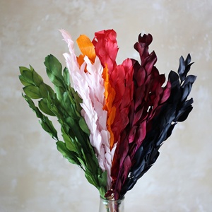 5 tallos de hoja de naranja de follaje preservado, hojas secas de larga duración, tallos de hojas de naranja secas preservadas para ramo de flores secas - Product Image 1