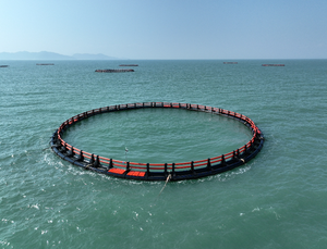 Cage flottante en HDPE à 8 trous/unité pour l'élevage de poissons - Product Image 1