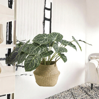 Tanaman Hias Anthurium Kristal VerdantCharm 46cm dalam Pot, Daun Seperti Asli dengan Urat Kristal, Mudah Dirawat, Dekorasi Ruang Tamu