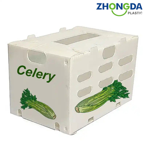 Có thể gập lại PP rỗng lưới Hội Đồng Quản trị đùn dây chuyền sản xuất cho nông nghiệp Rau hộp mẫu bền đa năng PP chất liệu - Product Image 4