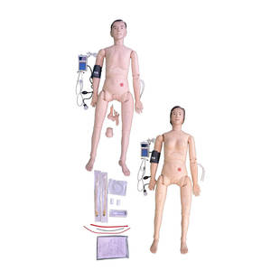 ขั้นสูงแขนรวมกันพยาบาลฝึกอบรมรุ่นวิทยาศาสตร์<span class=keywords><strong>การ</strong></span>แพทย์กายวิภาครุ่นที่มี<span class=keywords><strong>การ</strong></span><span class=keywords><strong>วัด</strong></span><span class=keywords><strong>ความ</strong></span><span class=keywords><strong>ดัน</strong></span><span class=keywords><strong>โลหิต</strong></span> - Product Image 1