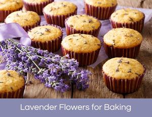 Fleurs de lavande séchées pures à usage thérapeutique en vrac, boutons français - Product Image 4