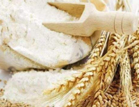 Exportateur professionnel de farine de blé/amidon au prix le plus bas