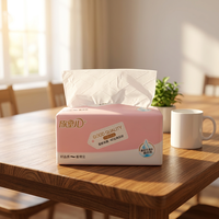 Fabricants OEM/ODM Vente en gros de pâte de bois vierge Mouchoirs en papier Sac d'emballage souple écologique Offre de mouchoirs Échantillons gratuits