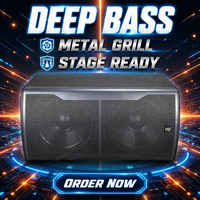 Système audio avec deux caissons de basses de 18 pouces pour scène audio professionnelle, subwoofer passif puissant pour spectacles live