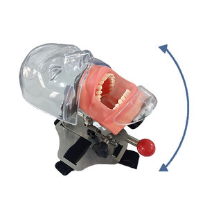 <strong>Dental</strong> <strong>Simulation</strong> Simple Head <strong>Unit</strong> ,<strong>dental</strong> Phantom Head - Product Image 3