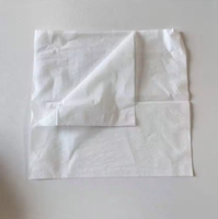 Mouchoirs en papier de qualité hôtelière, non pelucheux et absorbants, serviettes jetables pour chambres d'hôtes, restaurants et hôtellerie, paquet en vrac