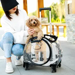 Offre Spéciale mode Portable Transparent chat sac respirant Pet voyage chariot sac à dos transporteur Pet sac avec roues