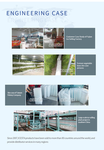 ICESTAカスタマイズ10 15 20 25 30 40トン工業用直接冷却ブロック製氷機 - Product Image 5