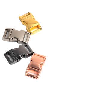 Hebillas de cinturón ajustables de aleación de zinc, zapatos multifuncionales para perros con metal de aleación de zinc de moda, colores de 30 mm al por mayor para bolsos - Product Image 6