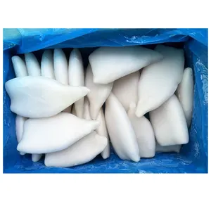 Dijual tabung cumi-cumi frozen todarodes pacificus Illex tabung cumi-cumi u5 u7 u10