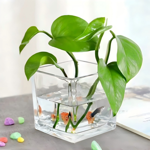 Jarrón de Cristal Transparente Cuadrado para Decoración Navideña, Portavelas, Disponible en Stock - Product Image 3