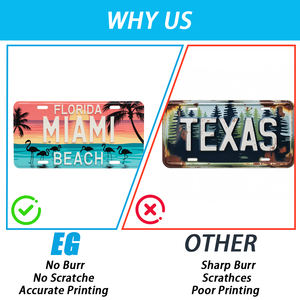 Placa decorativa de coche especial de licencia de número personalizada de alta calidad con 25 años de experiencia y certificado ISO - Product Image 2