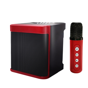 Altoparlante Bluetooth Mini YS203 con Microfono, Speaker Wireless Portatile per Karaoke, Altoparlante per Karaoke da Esterno - Product Image 6